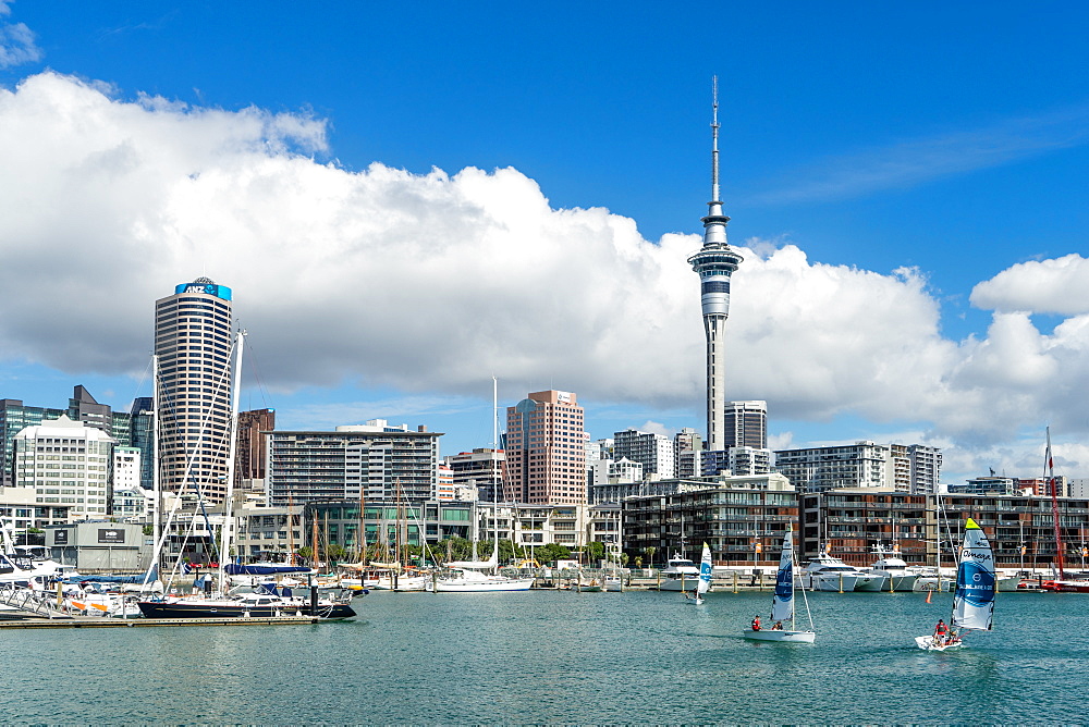 Small sailboats cruise in Auckland harbour in front of the city skyline, Auckland, North Island, New Zealand, Pacific