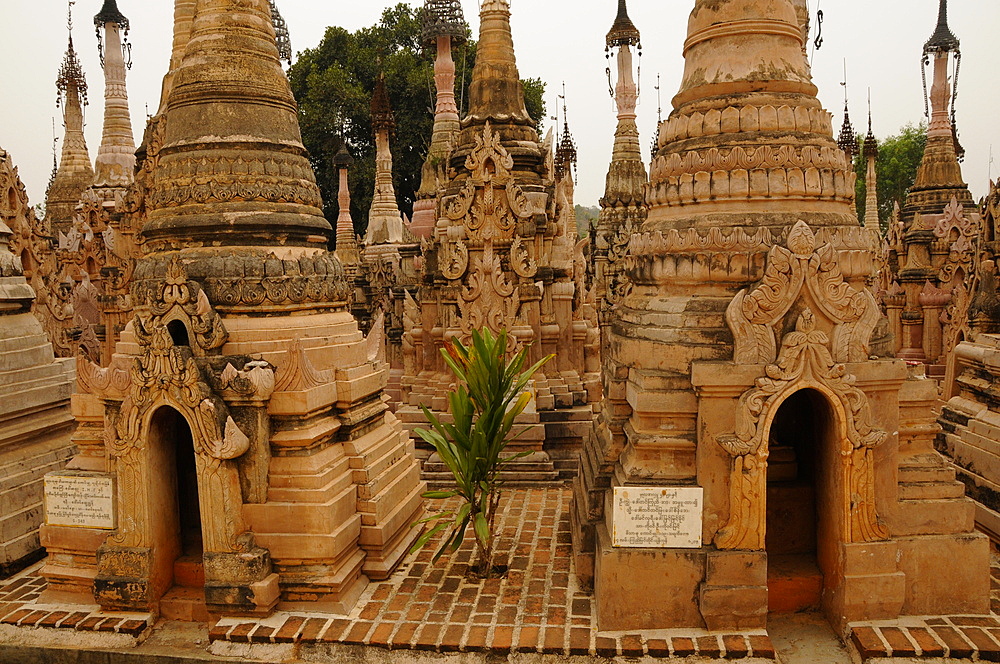 The pagodas of Kakku, Shan State, Myanmar, Asia