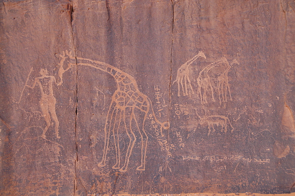 Prehistoric rock carving in Tassili N'Ajjer National Park, Algeria