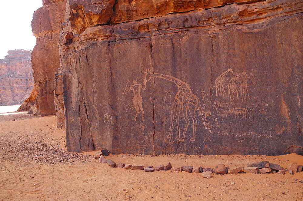 Prehistoric rock carving in Tassili N'Ajjer National Park, Algeria