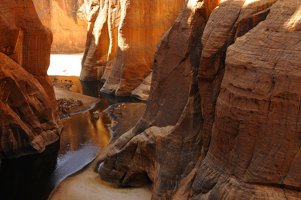 Guelta d'Archei, Ennedi, Chad