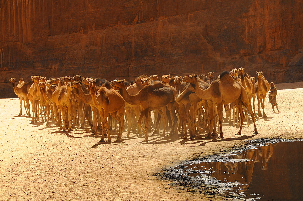 Guelta d'Archei, Ennedi, Chad