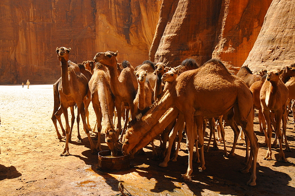 Guelta d'Archei, Ennedi, Chad