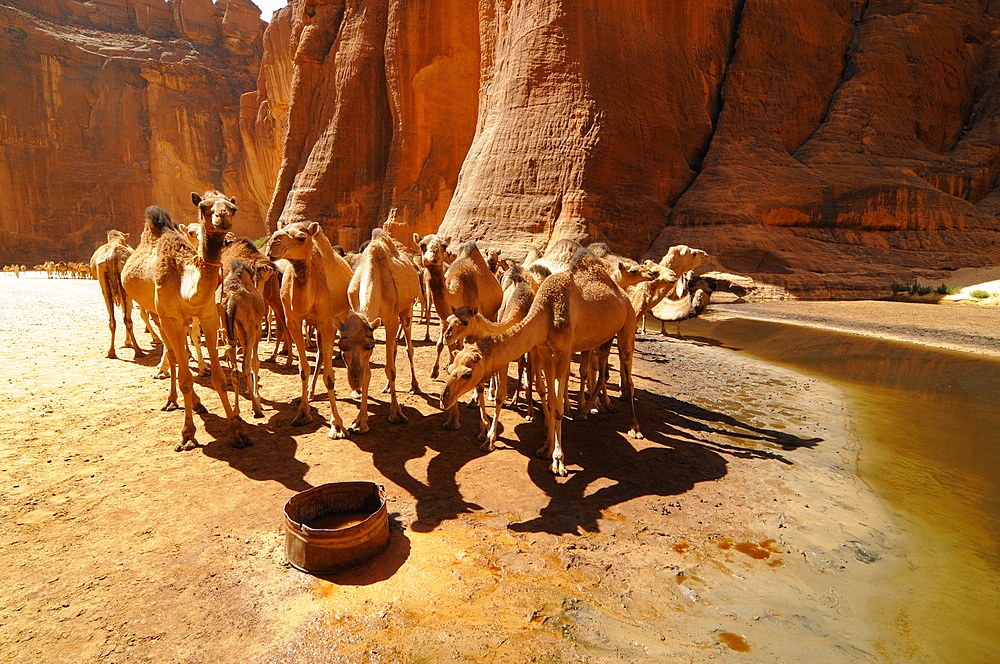 Guelta d'Archei, Ennedi, Chad