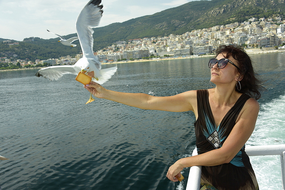 Woman feeding seagulls on a ferry from Kavala to Thassos, North Aegean Sea, Greek Islands, Greece, Europe