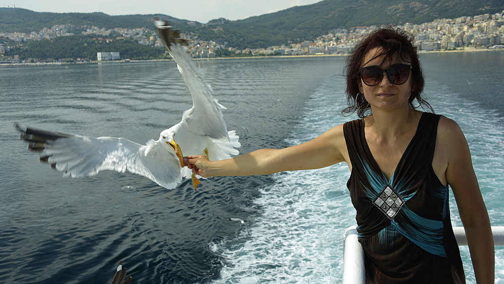 Woman feeding seagulls on a ferry from Kavala to Thassos, North Aegean Sea, Greek Islands, Greece, Europe