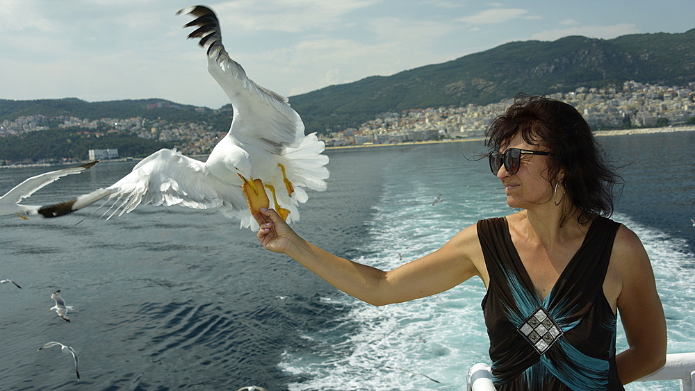 Woman feeding seagulls on a ferry from Kavala to Thassos, North Aegean Sea, Greek Islands, Greece, Europe