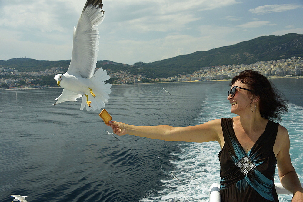 Woman feeding seagulls on a ferry from Kavala to Thassos, North Aegean Sea, Greek Islands, Greece, Europe