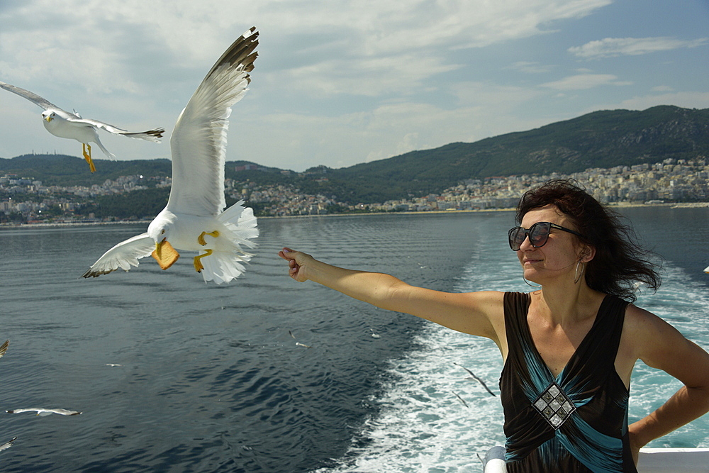 Woman feeding seagulls on a ferry from Kavala to Thassos, North Aegean Sea, Greek Islands, Greece, Europe