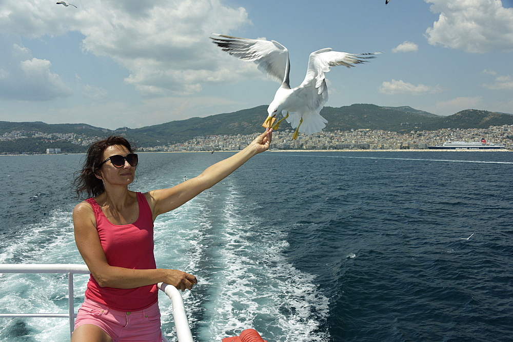 Woman feeding seagulls on a ferry from Kavala to Thassos, North Aegean Sea, Greek Islands, Greece, Europe