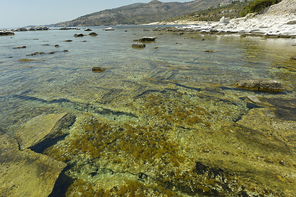 Ancient quarry of Alyki, Thassos, Greek Islands, Greece, Europe