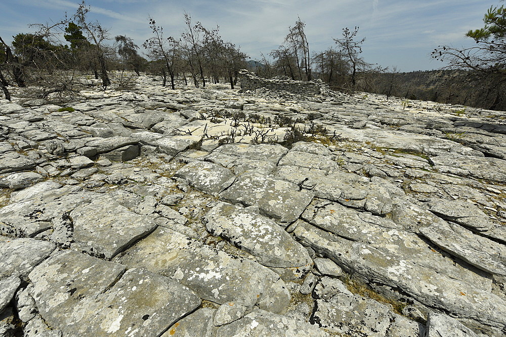 Marble landscape of Thassos, Greek Islands, Greece, Europe