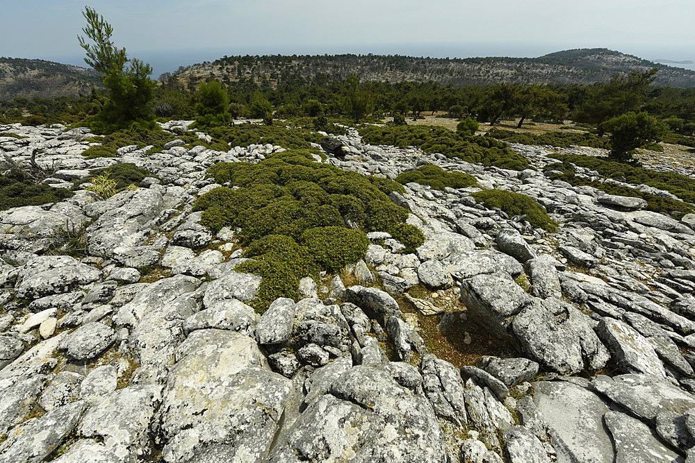 Marble landscape of Thassos, Greek Islands, Greece, Europe