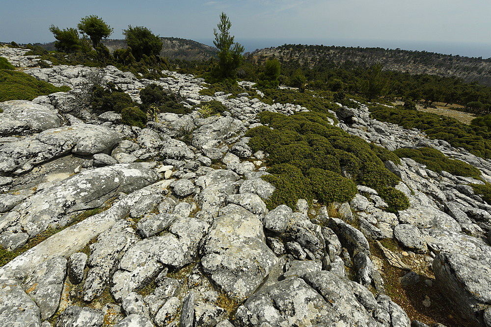 Marble landscape of Thassos, Greek Islands, Greece, Europe