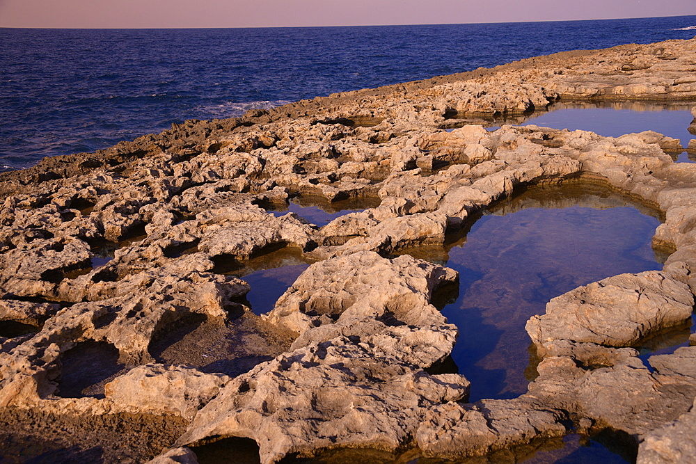 Rocky coast in Bugibba, Malta, Mediterranean, Europe