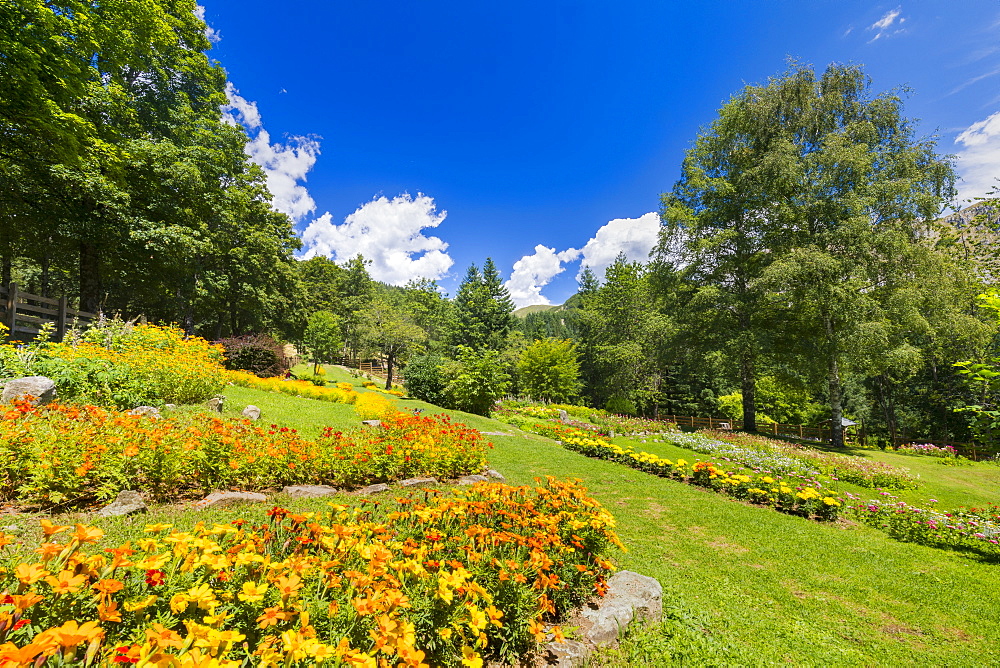 Giardino Botanico Maria Ansaldi Pania di Corfino, Orecchiella National Park, Garfagnana, Tuscany, Italy, Europe