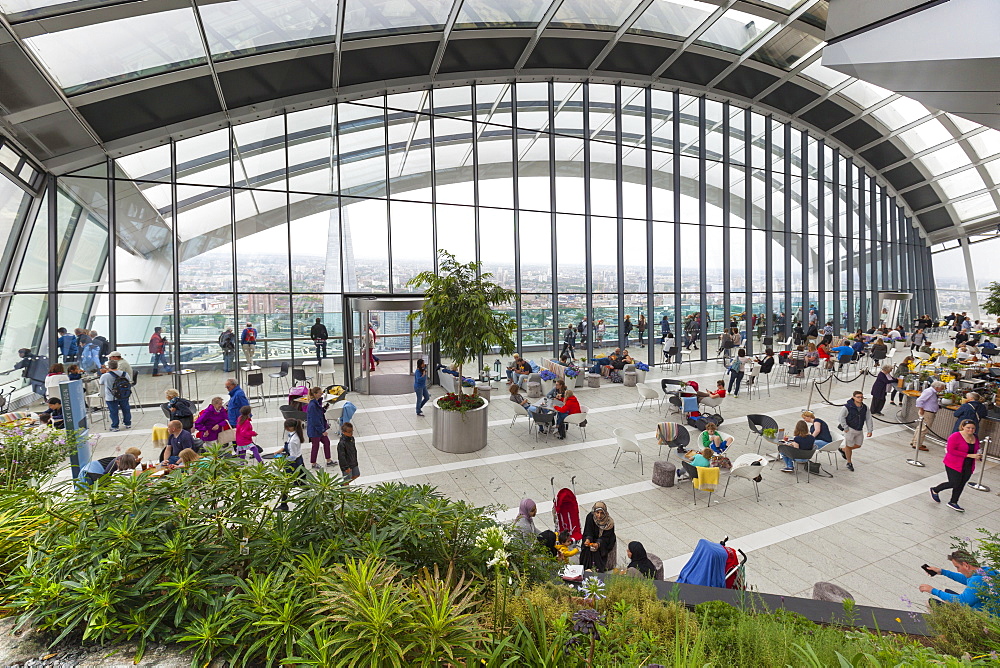 Sky Garden at the Walkie Talkie (20 Fenchurch Street), City of London, London, England, United Kingdom, Europe