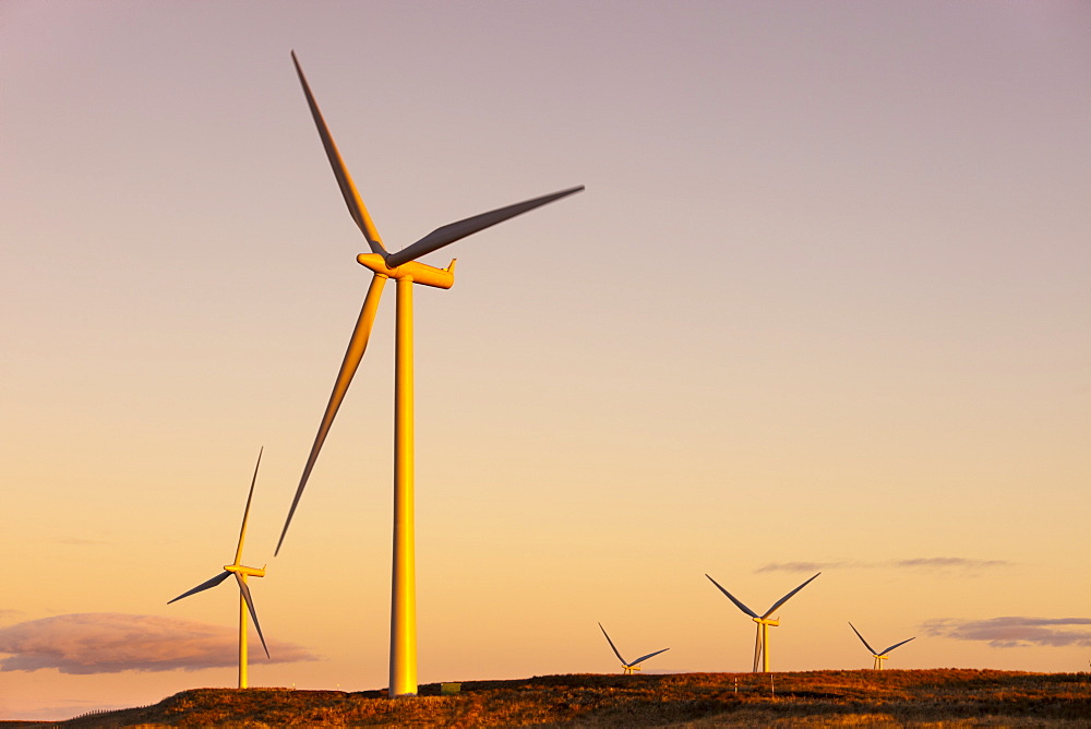 Wind turbines at sunset, Whitelee Wind Farm, East Renfrewshire, Scotland, United Kingdom, Europe