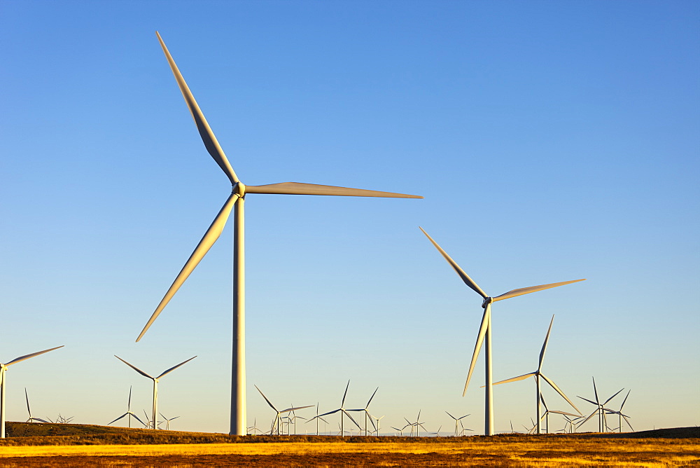 Wind Turbines, Whitelee Wind Farm, East Renfrewshire, Scotland, United Kingdom, Europe