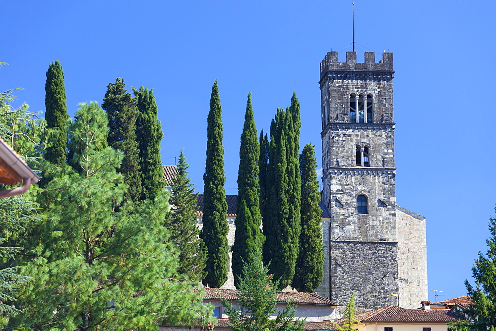 The Duomo of San Frediano, Barga, Tuscany, Italy, Europe