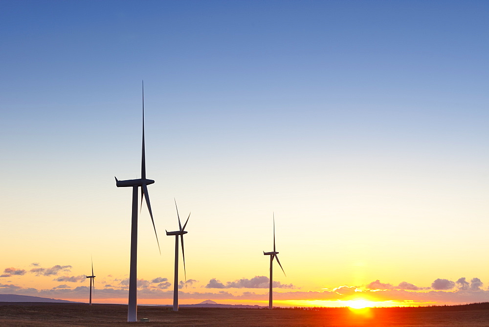 Wind turbines at sunset, Whitelee Wind Farm, Scotland, United Kingdom, Europe