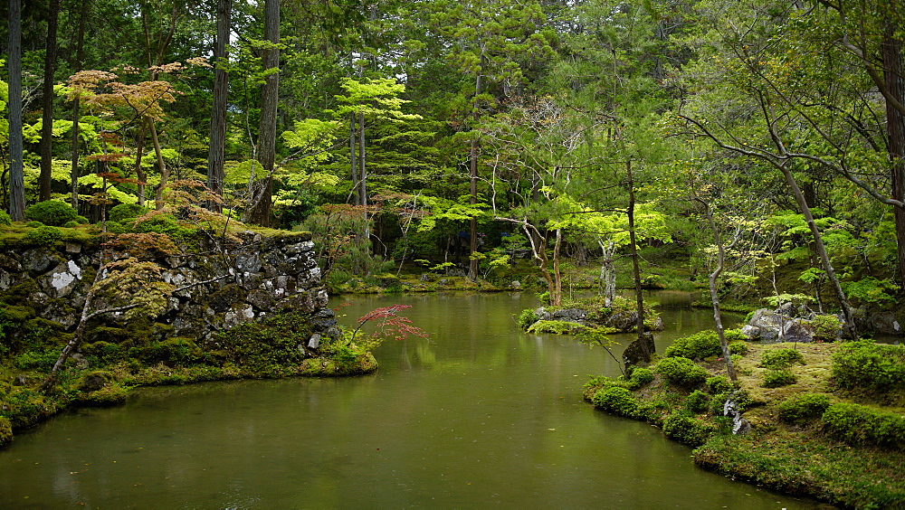 The moss gardens of Saiho-ji temple, Kyoto, Japan, Asia