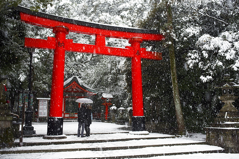 Heavy snow falling on Fushimi Inari shrine, Kyoto, Japan, Asia