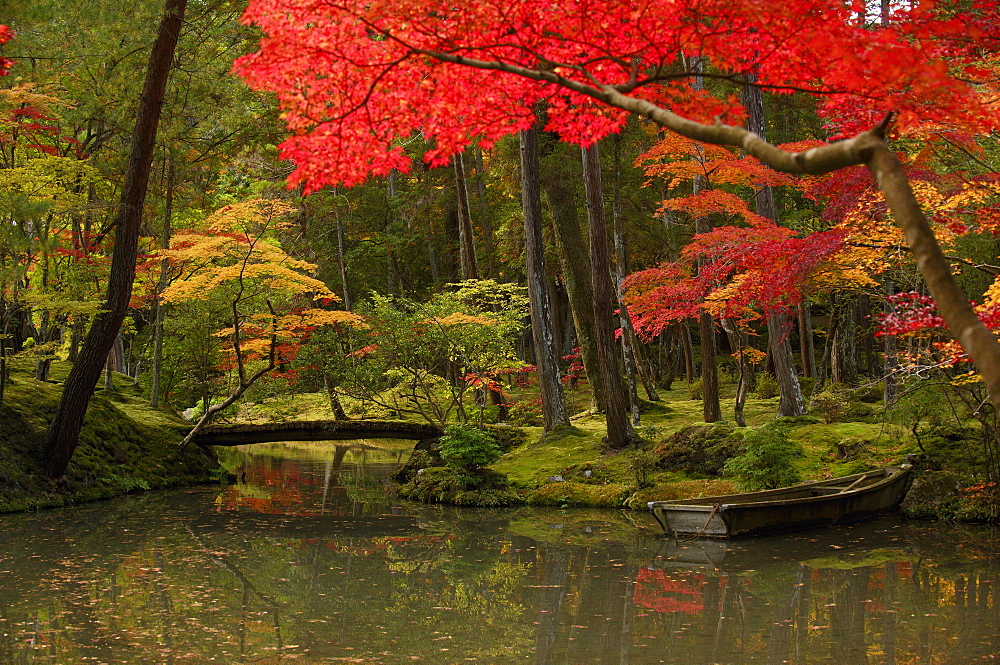 Autumn colours in the moss garden of Saiho-ji temple, UNESCO World Heritage Site, Kyoto, Japan, Asia