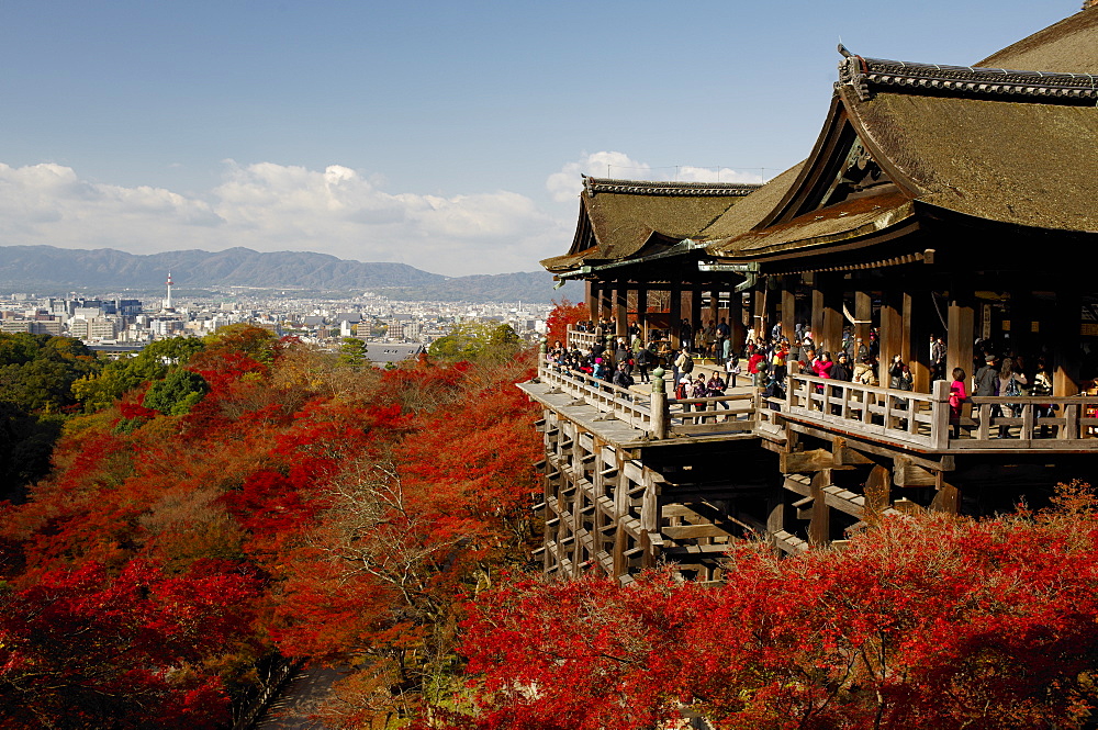 Kiyomizudera temple terrace overlooking Kyoto city, Kyoto, Japan, Asia