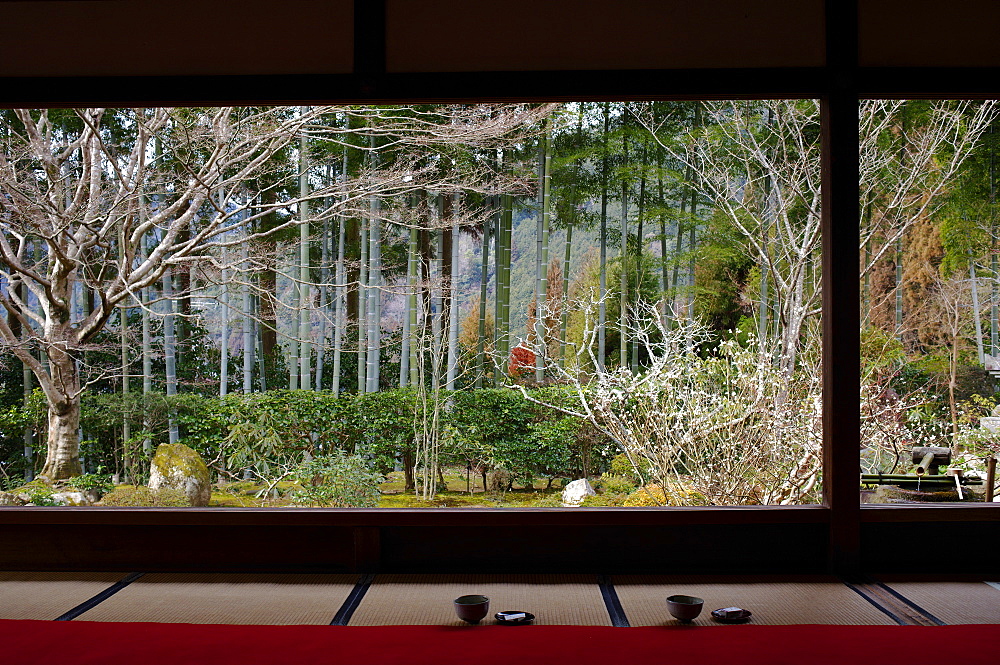 View on Japanese garden and bamboo forest, Hosen-in Temple, Kyoto, Japan, Asia