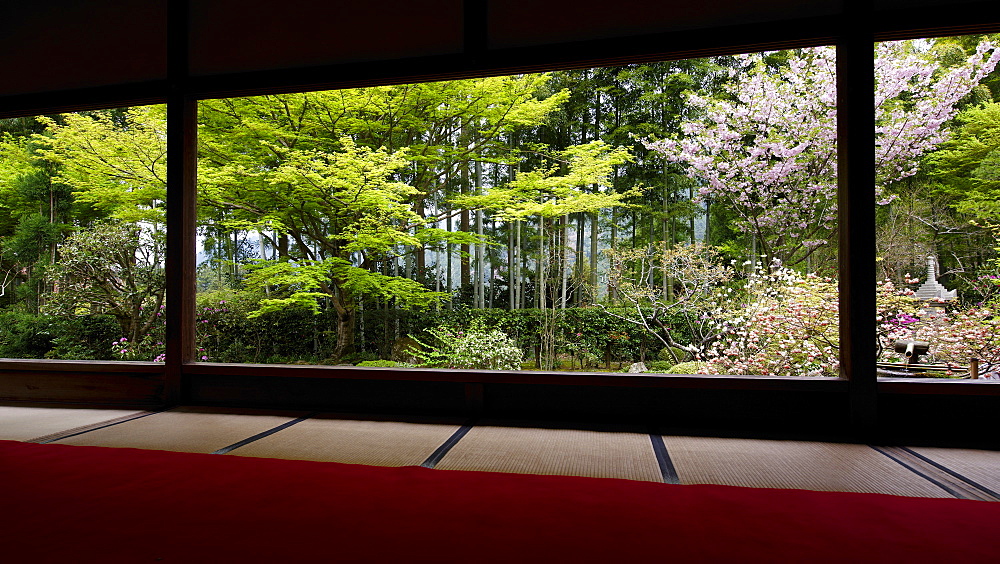 Spring time in Hosen-in Temple, Ohara valley, Kyoto, Japan, Asia