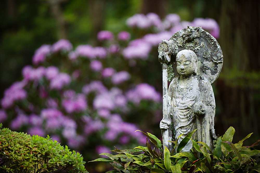 Buddhist statue, Sanzen-in Temple, Kyoto, Japan, Asia