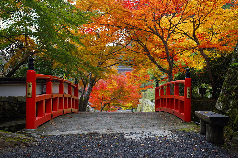 Bridge with autumn colours, Ohara valley, Kyoto, Japan, Asia