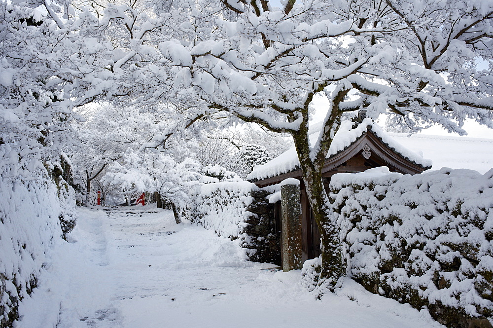 Fresh snow on Jikko-in Temple entrance, Ohara valley, Kyoto, Japan, Asia