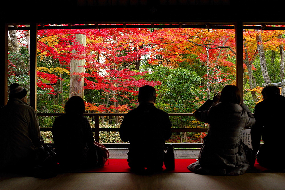 Admiring autumn colours in Daiho-in temple, Kyoto, Japan, Asia