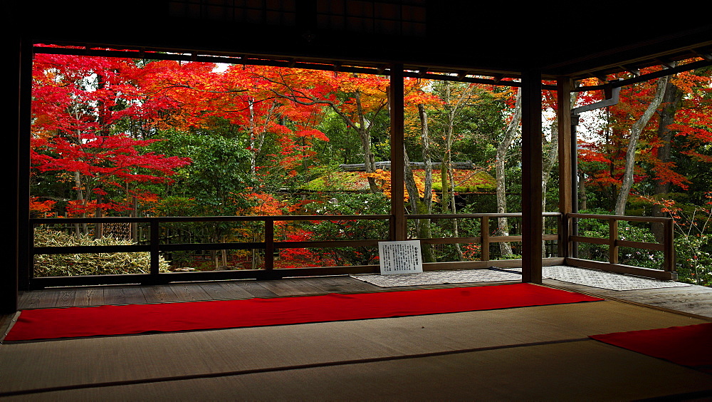 Autumn colours in Daiho-in temple, Kyoto, Japan, Asia