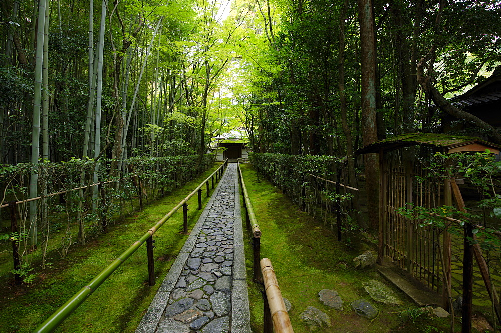 Koto-in temple narrow entrance path, Kyoto, Japan, Asia