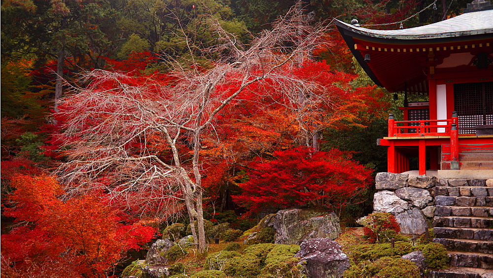 The Bentendo hall of Daigo-ji temple, UNESCO World Heritage Site, Kyoto, Japan, Asia