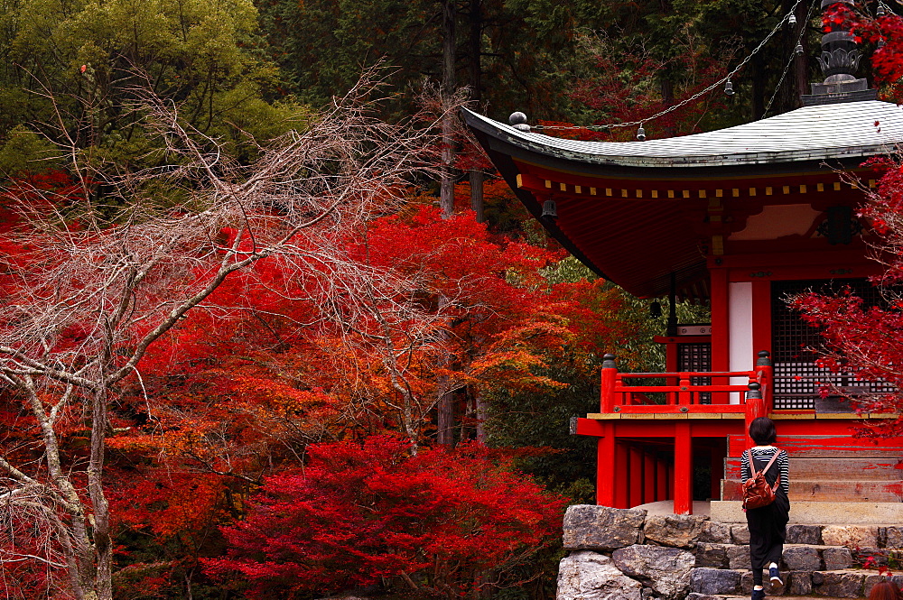 Climbing the stairs of the Bentendo hall of Daigo-ji temple, UNESCO World Heritage Site, Kyoto, Japan, Asia