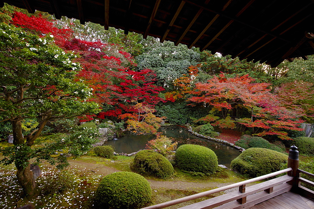 Autumn in Zuishin-in temple garden, Kyoto, Japan, Asia