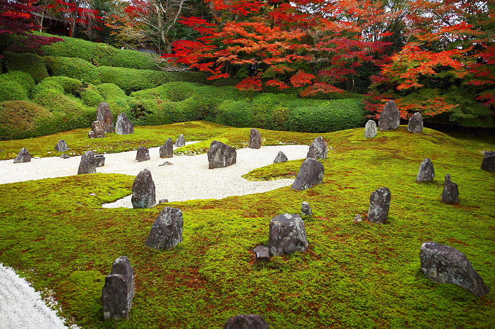 Komyo-in temple moss garden in autumn, Kyoto, Japan, Asia