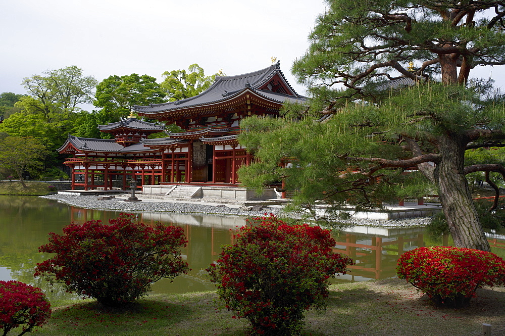 Byodo-in Temple, UNESCO World Heritage Site, Kyoto, Japan, Asia