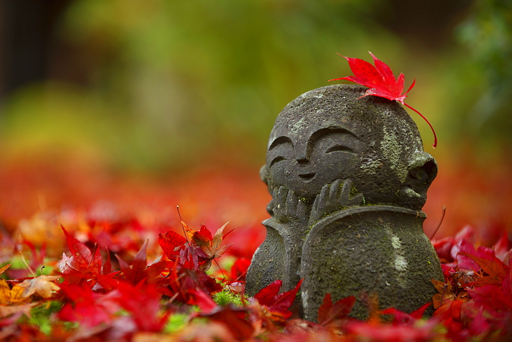 Little jizo statue among fallen maple leaves, Enko-ji temple, Kyoto, Japan, Asia