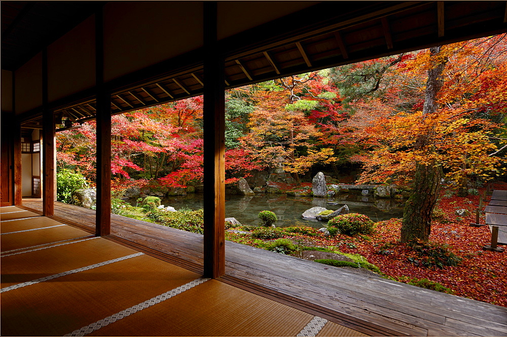 Late autumn in Renge-ji temple pond garden, Kyoto, Japan, Asia