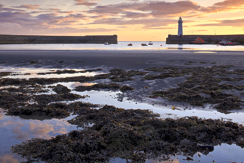 Donaghadee Harbour, County Down, Ulster, Northern Ireland, United Kingdom, Europe