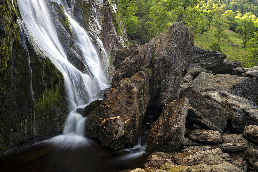 Powerscourt, County Wicklow, Leinster, Republic of Ireland, Europe