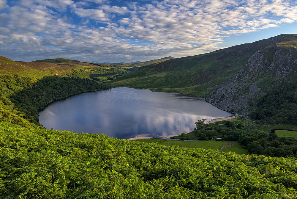 Lough Tay, County Wicklow, Leinster, Republic of Ireland, Europe