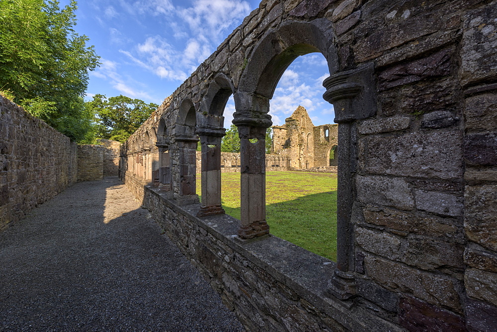 Jerpoint Abbey, County Kilkenny, Leinster, Republic of Ireland, Europe