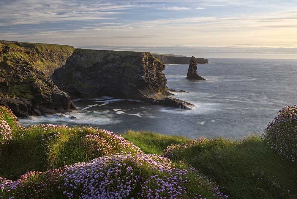 Loop Head, County Clare, Munster, Republic of Ireland, Europe