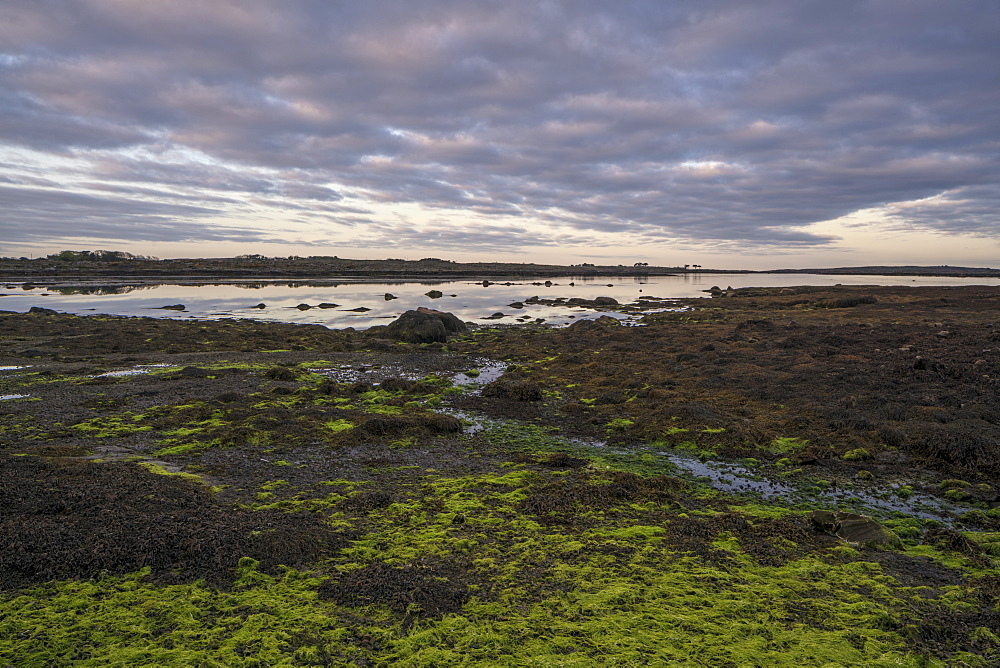 Carrickalegaun Bridge, Gorumna Island, Connemara, County Galway, Connacht, Republic of Ireland, Europe